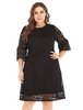 Plus Size - Spitzenkleid mit Rundhalsausschnitt und 3/4-Ärmeln