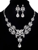 Rhinestones-Schmucksache-gesetzte wulstige Tropfen-Ohrring-Frauen 2 Stück-Anweisung-Halsketten-Satz