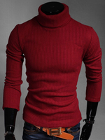 Roll-Hals aus Polyester Formgebung Pullover für Männer