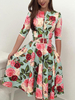 Skaterkleider Bedruckt Jewel Neck Zipper Grün Halbarm Fit und Flare Kleid