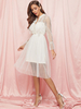 Skaterkleider Polyester V-Ausschnitt Spitze Aprikose Lässige Long Sleeves Fit und Flare Kleid