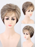 Synthetische Perücken Beige Straight Rayon Tousled Short Girl Kurzperücke für Frauen