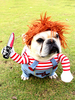 Tödliche Puppenhundekostüme Beängstigendes Karneval Kostüm Cosplay Chucky Puppenhundekostüm