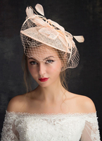 Tüll Hochzeit Hut Braut Kopfbedeckungen Birdcage Veil Headpiece & Fascinator Hut (15 cm X 50 Cm)