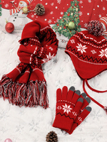 Weihnachtsgeschenk Schal Mütze Handschuhe 3-teiliges Set in Rot