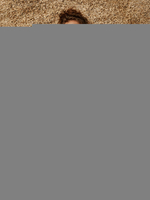 Womens Green Playsuit Blumendruck Bateau Neck Kurzarm Plissee Polyester Sommer One Piece Outfit