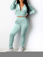 Zweiteilige Sets Velvet Hooded Long Sleeve Crop Sweatshirt mit Hosen für Frauen