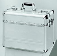 ALUMAXX Pilotenkoffer Alumaxx Pilotenkoffer BETHA bis 43, 2 cm (17 Zoll) glattes Aluminium silber