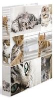 ANIMALS Ringbücher Katzen 2D