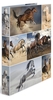 ANIMALS Ringbücher Pferde 2D