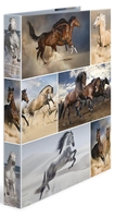 ANIMALS Ringbücher Pferde 2D