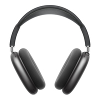 Apple AirPods Max Over-Ear-Kopfhörer space-grau