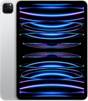Apple iPad Pro 32, 77cm (12, 9") 128GB silber