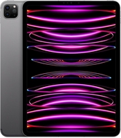 Apple iPad Pro 32, 77cm (12, 9") 1TB space grau