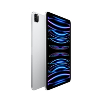 Apple iPad Pro 32, 77cm (12, 9") 2TB silber