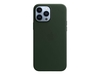 Apple Leder Case mit MagSafe für Apple iPhone 13 Pro Max,  sequoia grün