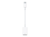 Apple USB-C auf USB Adapter MJ1M2ZM/A