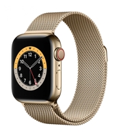 Apple Watch Series 6 (GPS+Cellular) 40mm Edelstahlgehäuse 32GB gold