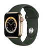 Apple Watch Series 6 (GPS+Cellular) 40mm Edelstahlgehäuse 32GB gold