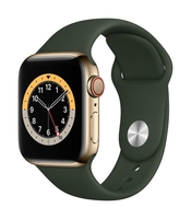 Apple Watch Series 6 (GPS+Cellular) 40mm Edelstahlgehäuse 32GB gold