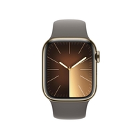 Apple Watch Series 9 (GPS + Cellular) 41mm Edelstahlgehäuse gold,  Sportband grau S/M