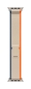 Apple Watch Trail Loop orange/beige M/L