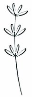 Artoz Stempel Blume