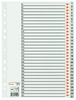 bene Register Kunststoff-Reg.1-31,  120 My Grau