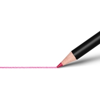 BIC Buntstifte BIC Intensity Prem Buntst 24er Mehrfarbig