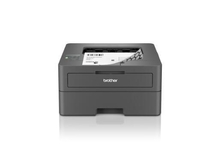 Brother HL-L2400DW Laserdrucker s/w