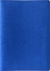 BRUNNEN Bewerbungsmappen Lines DIN A4 blau