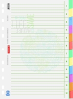 BRUNNEN Register Ringbuchreg.A4 12tlg beige