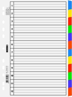 BRUNNEN Register Ringbuchreg.A4 12tlg weiß