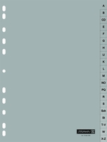 BRUNNEN Register Ringbuchreg.A4 20tlg Grau