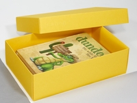 BUNTBOX Geschenkboxen Buntbox Geschenkbox L gb 2St 3, 6 l - 26, 6 x 17, 2 x 7, 8 cm gelb