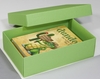 BUNTBOX Geschenkboxen Buntbox Geschenkbox L grün 2St 3, 6 l - 26, 6 x 17, 2 x 7, 8 cm grün