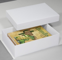 BUNTBOX Geschenkboxen Buntbox Geschenkbox L weiß 2St 3, 6 l - 26, 6 x 17, 2 x 7, 8 cm weiß