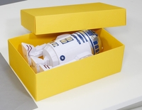 BUNTBOX Geschenkboxen Buntbox Geschenkbox M gelb 3St 1, 1 l - 17, 0 x 11, 0 x 6, 0 cm gelb