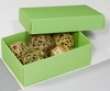 BUNTBOX Geschenkboxen Buntbox Geschenkbox M grün 3St 1, 1 l - 17, 0 x 11, 0 x 6, 0 cm grün