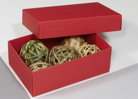 BUNTBOX Geschenkboxen Buntbox Geschenkbox M rot 3St 1, 1 l - 17, 0 x 11, 0 x 6, 0 cm rot