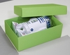 BUNTBOX Geschenkboxen Buntbox Geschenkbox XL grü.1St 8, 6 l - 34, 0 x 22, 0 x 11, 5 cm grün
