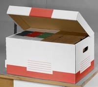 Cartonia Archivcontainer Container-Klappd.Box rot 10St für individuelle Aufbewahrung 54, 8 x 36, 4 x 26, 8 cm