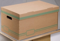Cartonia Archivcontainer Container Nature Box 10Stk Bn für individuelle Aufbewahrung 54, 8 x 36, 4 x 26, 8 cm