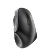 CHERRY MW 4500 ergonomische Maus