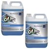Cif Glasreiniger Cif Prof.Glasreiniger 2x 5L 2x 5, 0 l