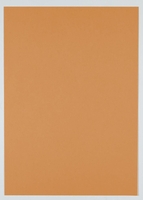 Clairefontaine Recyclingpapier CF Evercolor lachs A4,  80g DIN A4 80 g/m²