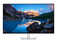Dell UltraSharp U4323QE Monitor (42, 51 Zoll) 107, 95 cm