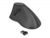 Delock Ergonomic Vertikale Maus
