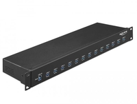 DeLOCK Industrie Hub USB 3.1 Gen 1 Typ-A 19 Zoll