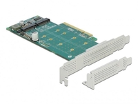 DeLOCK PCI Express x8 Card zu 2x intern NVMe M.2